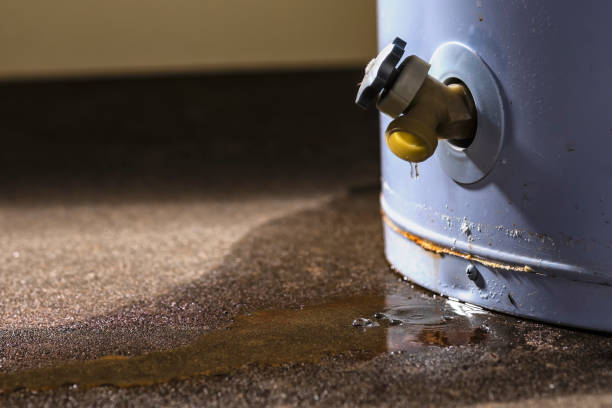 Water damage restoration experts in Elmhurst, IL