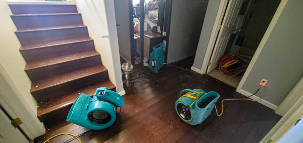 Best Water damage restoration experts  in Elmhurst, IL