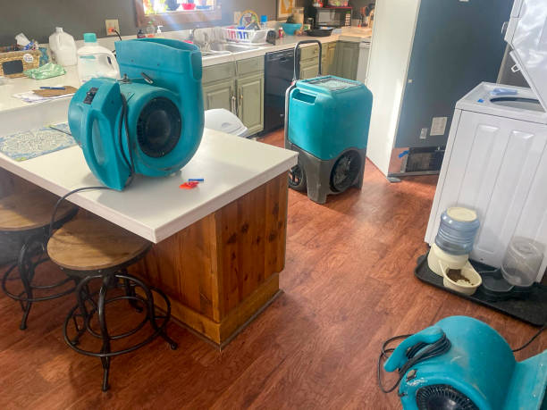 Water damage restoration experts in Elmhurst, IL