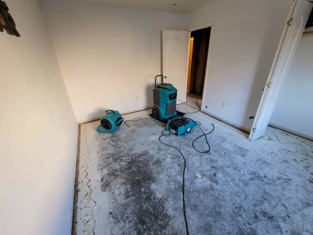 Best Water damage cleanup near me  in Elmhurst, IL