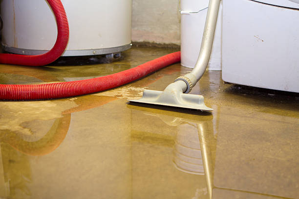 Elmhurst, IL Water damage restoration Company