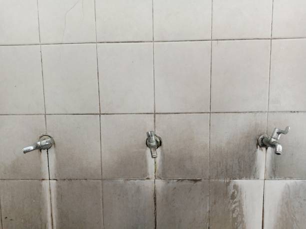 Best Water damage contractors near me  in Elmhurst, IL