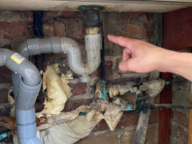 Best Residential water damage restoration  in Elmhurst, IL