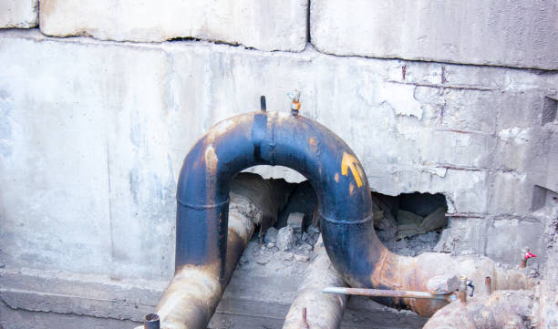 Best Mold removal after water damage  in Elmhurst, IL