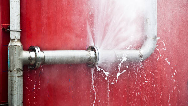 Best Carpet water damage restoration  in Elmhurst, IL
