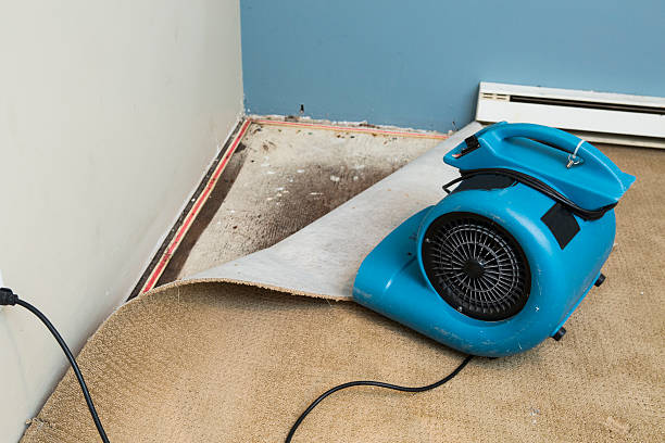 Elmhurst, IL Water damage restoration Company